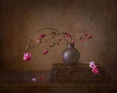 Kirschblüten Stillleben von Joanna W