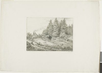 Bauernhaus in einem immergrünen Wald von Johan Christian Dahl