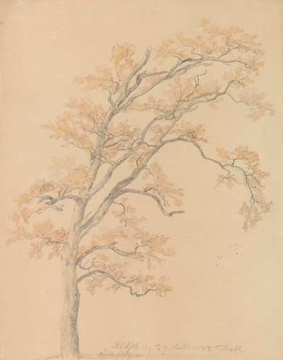 Eiche mit Herbstlaub, Milicz von Johan Christian Dahl