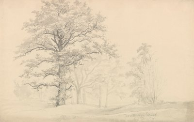 Laubbäume von Johan Christian Dahl