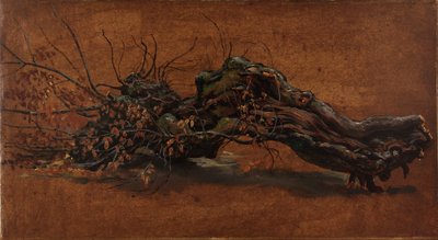 Studie eines knorrigen Astes von Johan Christian Dahl
