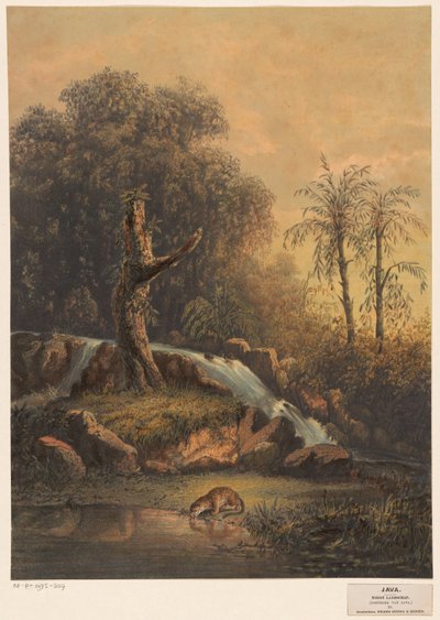 Landschaft mit Wasserfall und trinkendem Leopard von Johan Conrad Greive