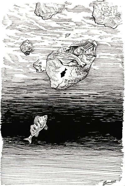 Fisch unter Plastik von Johan Liewendahl