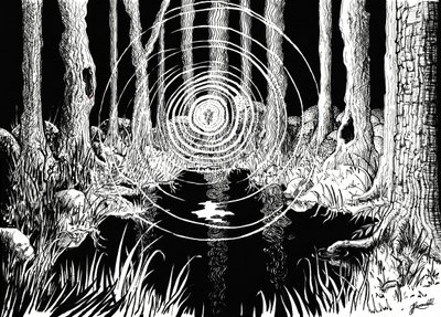Mystischer Waldrippel von Johan Liewendahl