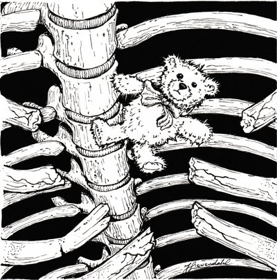 Skelettierter Teddybär von Johan Liewendahl