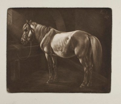  von Johann Adam Klein