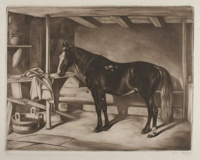 Pferd im Stall von Johann Adam Klein