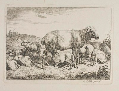 Schafe mit Lämmern von Johann Adam Klein