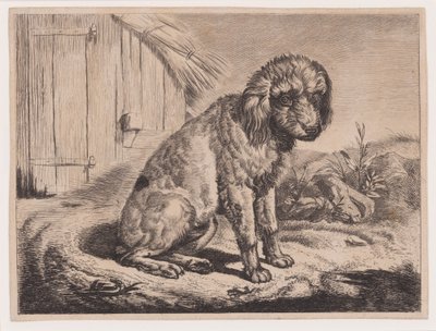  von Johann Adam Klein