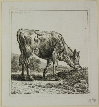 Kalb füttern, aus Die Zweite Thierfolge von Johann Christian Reinhart