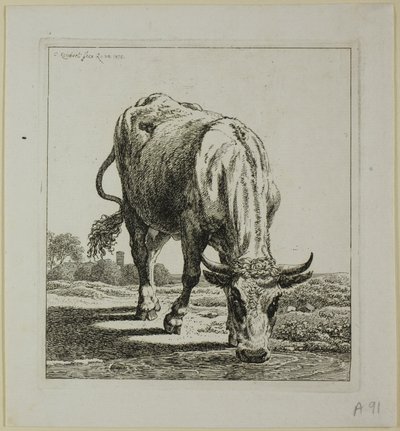 Kuh trinkt, aus Die Zweite Thierfolge von Johann Christian Reinhart