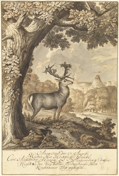 Ein Hirsch unter einer mächtigen Eiche von Johann Elias Ridinger