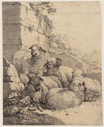 Vier liegende und ein stehendes Schaf vor Mauer, Blatt der Folge "Schafe und Ziegen" von Johann Heinrich Roos