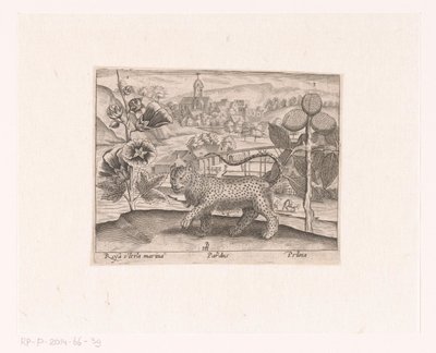 Serie von Drucken mit Blumen und Tieren in einer Landschaft von Johann Hogenberg
