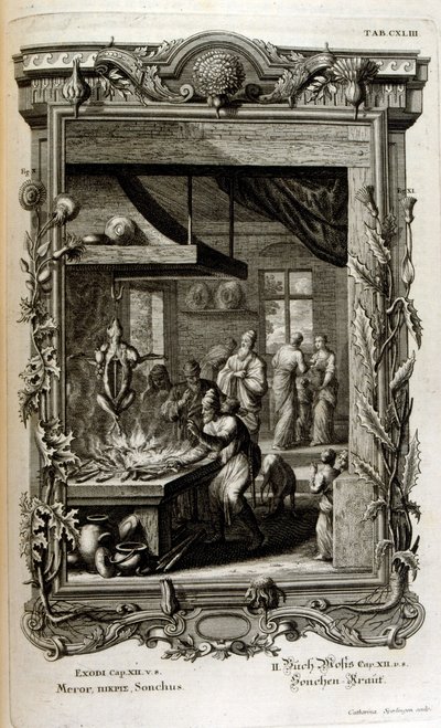 Illustration aus Physique sacrée, ou Histoire-naturelle de la Bible von Johann Jakob Scheuchzer