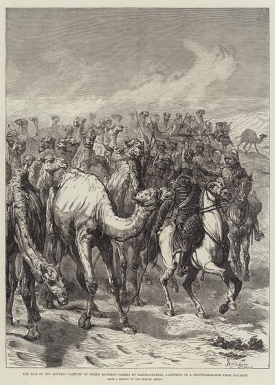 Der Krieg im Sudan, Eroberung von dreihundert Kamelen durch Generalmajor Sartorius bei einer Aufklärung von Souakim von Johann Nepomuk Schonberg