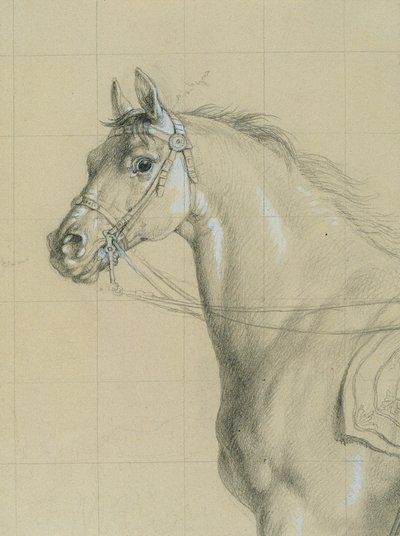 Pferdestudie zu "Erzherzog Karl mit seinem Stab in der Schlacht bei Aspern" von Johann Peter Krafft
