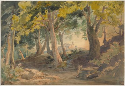 Landschaft - mit hohen alten Laubbäumen und einer Anhöhe mit Burg im Hintergrund von Johann Wilhelm Schirmer