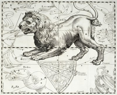 Löwe, Tierkreiszeichen des Löwen, Illustration aus Johann Hevelius