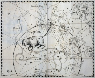 Kleiner Bär, boreale Konstellation des Kleinen Bären, Gravur aus dem Himmelsatlas Firmamentum Sobiescianum sive Uronographia von Johannes Hevelius