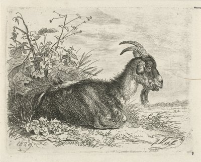 Liegender Bock von Johannes Mock