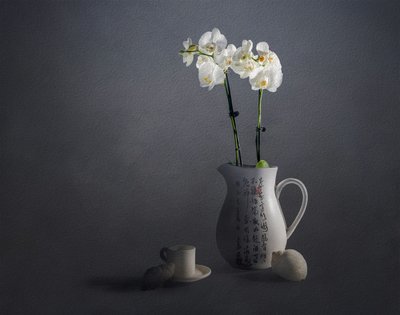 Elegantes Orchideen-Stillleben von John-Mei Zhong