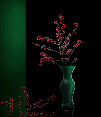 Elegante Winterbeeren von John-Mei Zhong