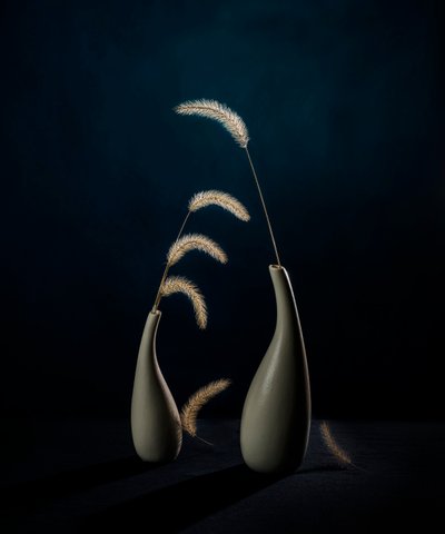 Stimmungsvolle Botanische Vasen von John-Mei Zhong
