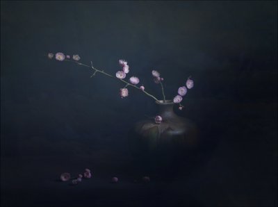 Pflaumenblüten Stillleben von John-Mei Zhong