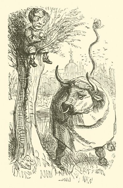 Stier und Junge (Gravur) von John (after) Leech