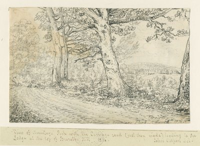 Armitage Park von John Allport