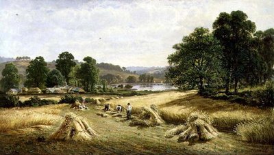 Ernte des goldenen Getreides bei Bishopsteignton, Plymouth von John Barrett
