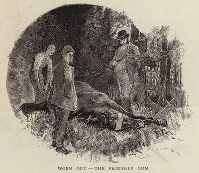 Ende des Lebens eines alten Rennpferdes von John Beer