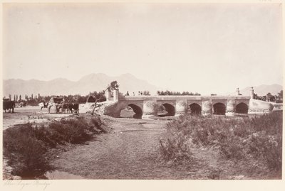 Die Logar-Brücke von John Burke