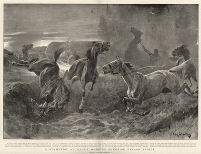 Eine Stampede, ein frühmorgendlicher Überraschungsangriff vereitelt von John Charlton
