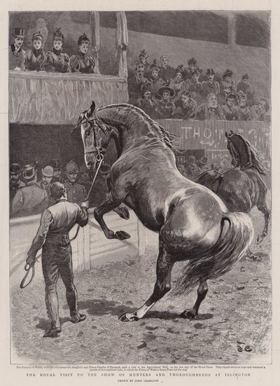 Der königliche Besuch der Ausstellung von Jägern und Vollblütern in Islington von John Charlton
