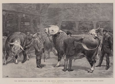 Die Viehschau des Smithfield Clubs in der Royal Agricultural Hall, Islington, Bewertung von Hereford-Ochsen von John Charlton