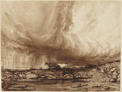 Rinder im Gewitter von John Constable