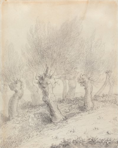 Kopfweiden von John Constable