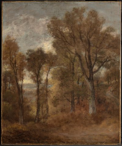 Waldszene mit Blick auf Dedham Vale von John Constable