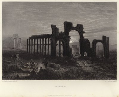 Palmyra von John Douglas Woodward