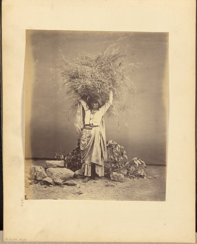 Indische Bäuerin mit Zweigen auf dem Kopf von John Edward Saché