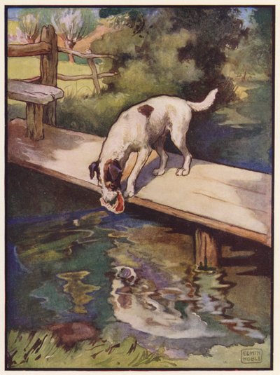 Der Hund und der Schatten von John Edwin Noble