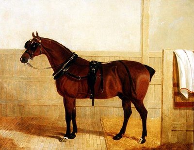 Preisgekröntes Shire-Pferd im Geschirr von John Frederick Herring Senior