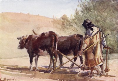 Pflügen auf dem Ölberg von John Fulleylove