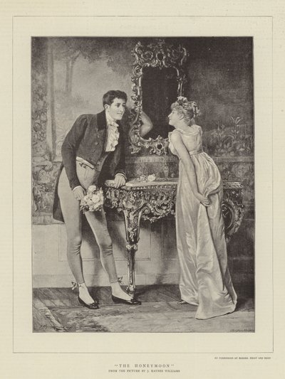 Die Flitterwochen von John Haynes Williams