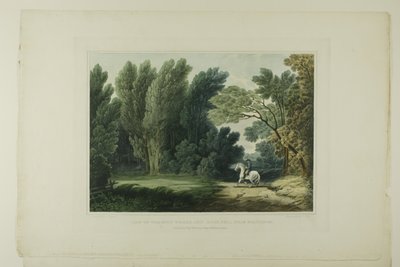 Ansicht des Ortes, an dem General Ross fiel, in der Nähe von Baltimore, Platte sechs der ersten Nummer von Picturesque Views of American Scenery von John Hill