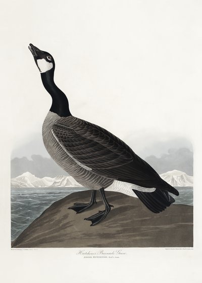 Hutchins