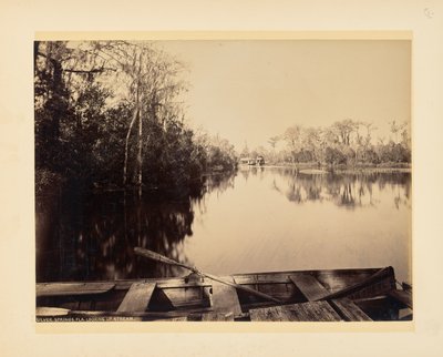 Silver Springs, Florida, flussaufwärts gesehen von John K. Hillers