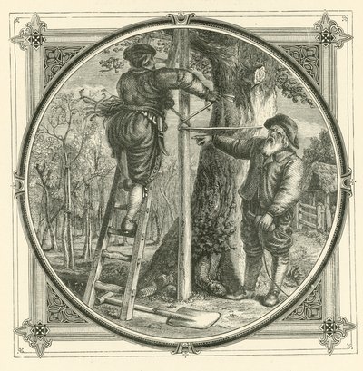 Die Zweige können trainiert werden, aber nicht der Stamm von John Leighton
